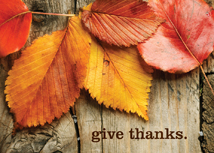 Give Thanks Autumn Leaves Thanksgiving Card