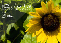 Sunflower Get Well Cards